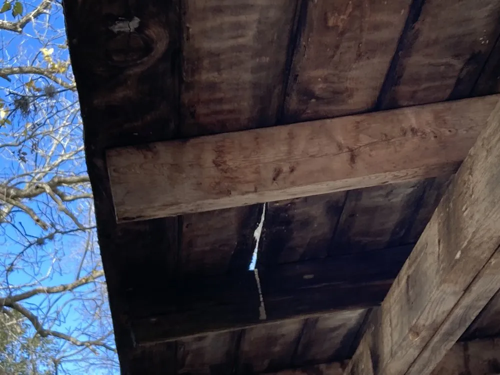 Slide of Next Nail Construction