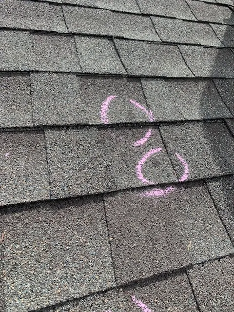 Slide of Next Wave Roofing