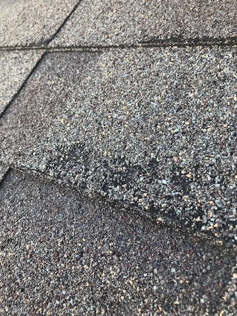 Slide of Next Wave Roofing