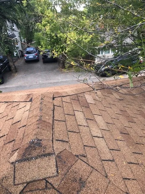 Slide of Next Wave Roofing