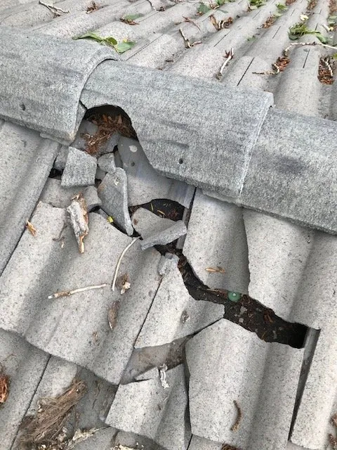 Slide of Next Wave Roofing