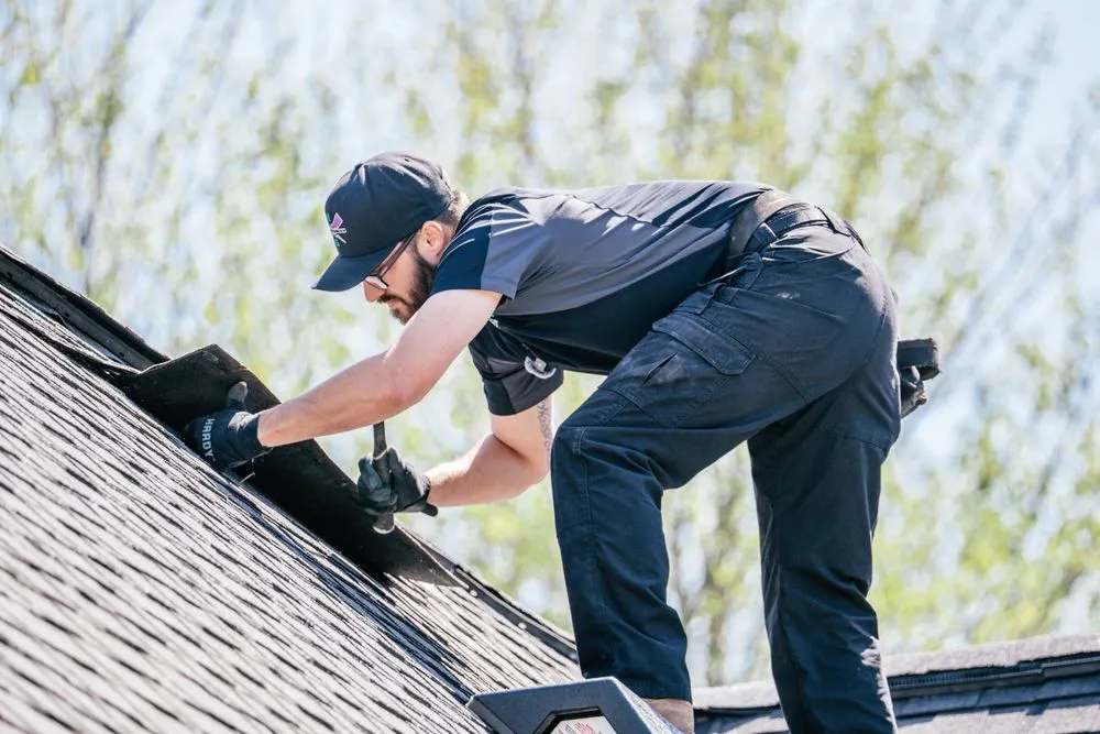 Slide of NextGen Restoration