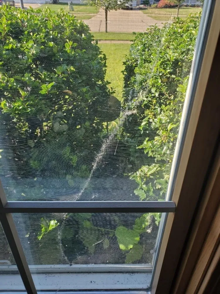 Slide of NextGen Restoration