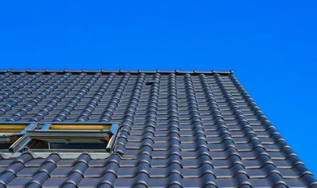Slide of NexTop Roofing