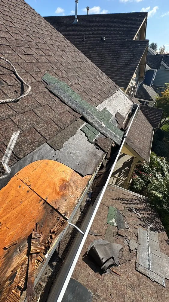 Slide of Nextphase Builders