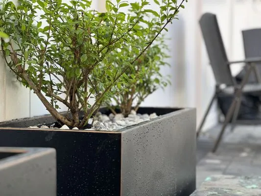 Nexus Construction Group Logo