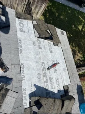 Nexxt Level Roofing & Repairs