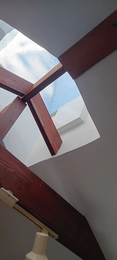 Slide of Nicco's Paint and Restoration