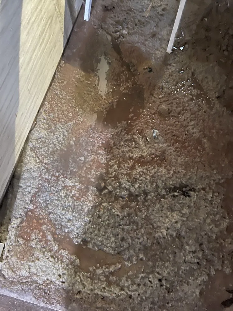 Slide of NICS of Charlotte