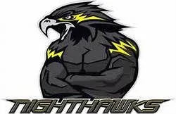 Slide of Nighthawk Services