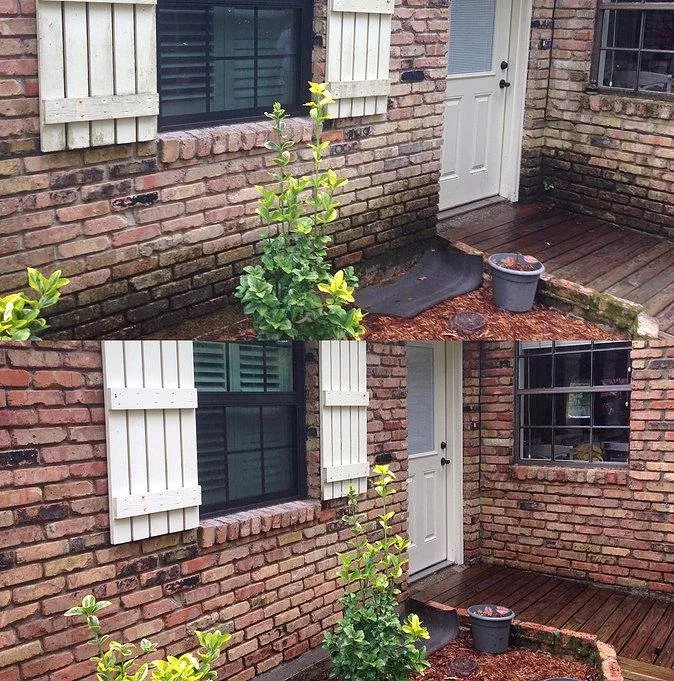 Slide of Nighthawk Services