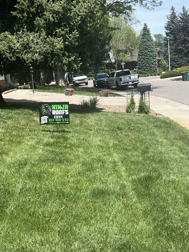 Slide of Ninja Roofs