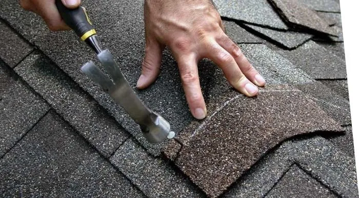 Slide of Ninja Roofs