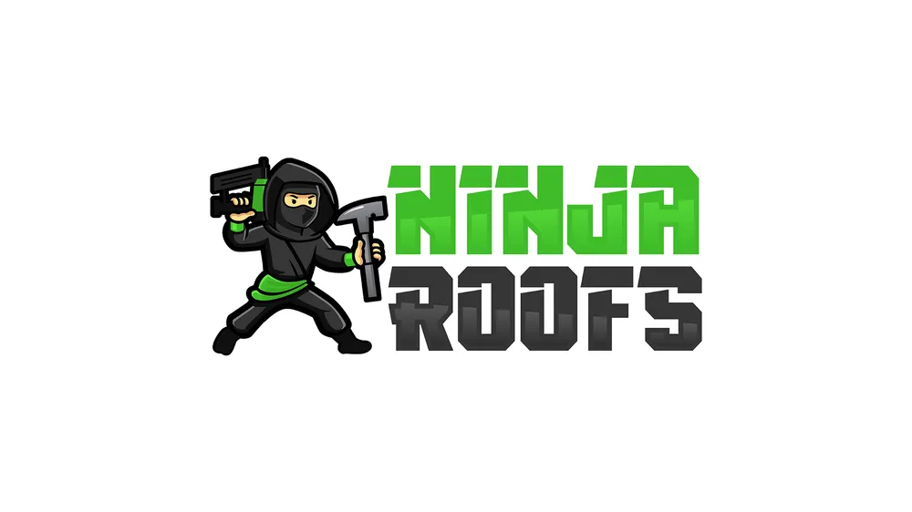 Slide of Ninja Roofs