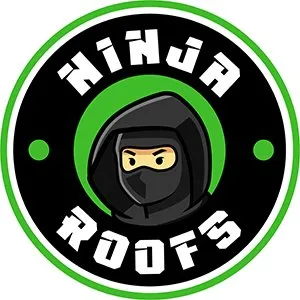 Slide of Ninja Roofs