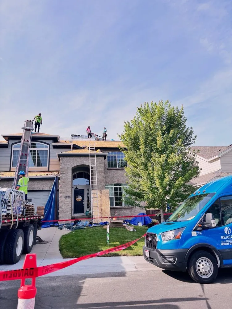 Slide of Ninja Roofs