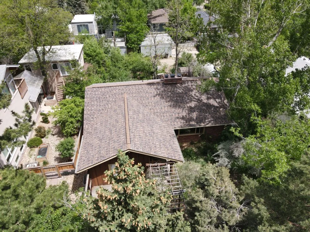 Slide of Ninja Roofs