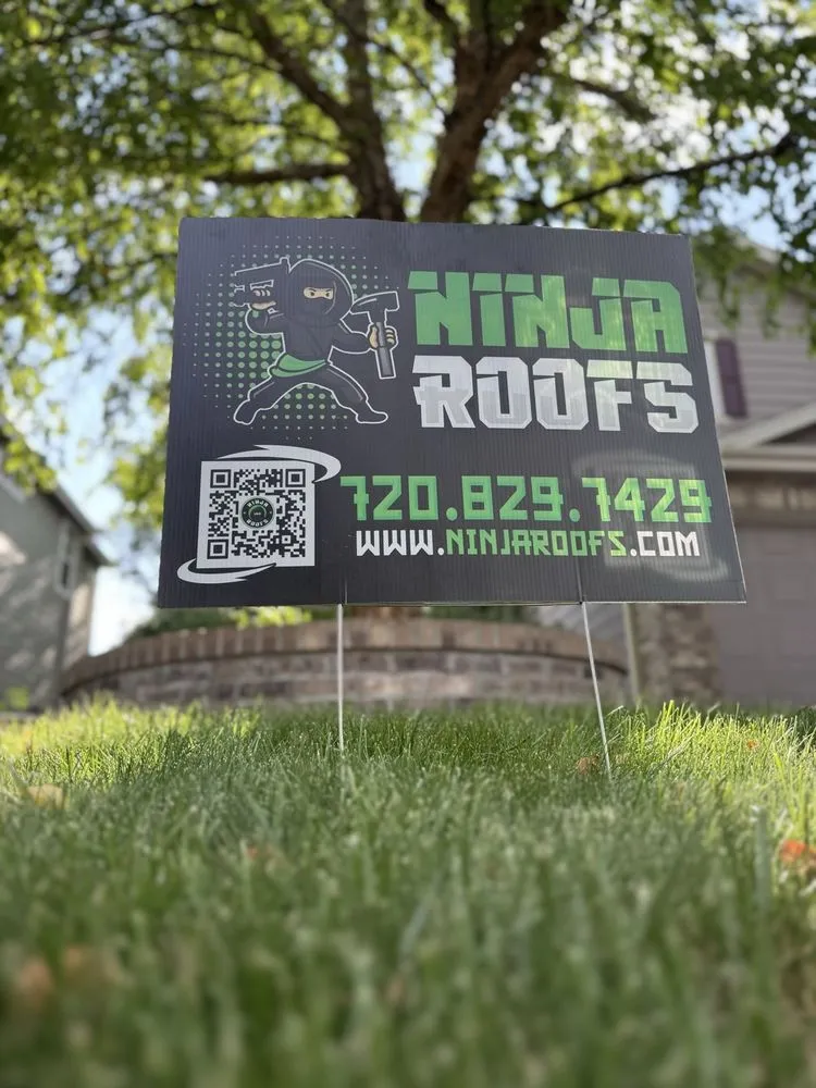 Slide of Ninja Roofs