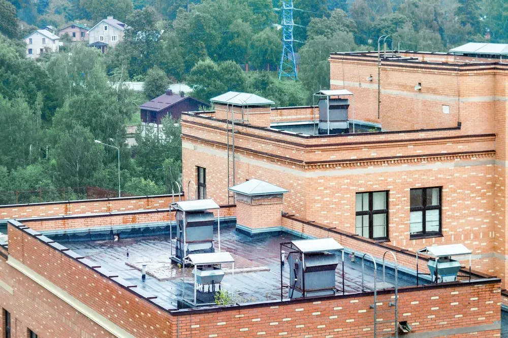 Slide of Ninja Roofs