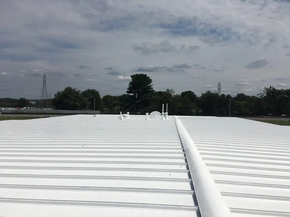 Slide of Nisley's Roof Restoration