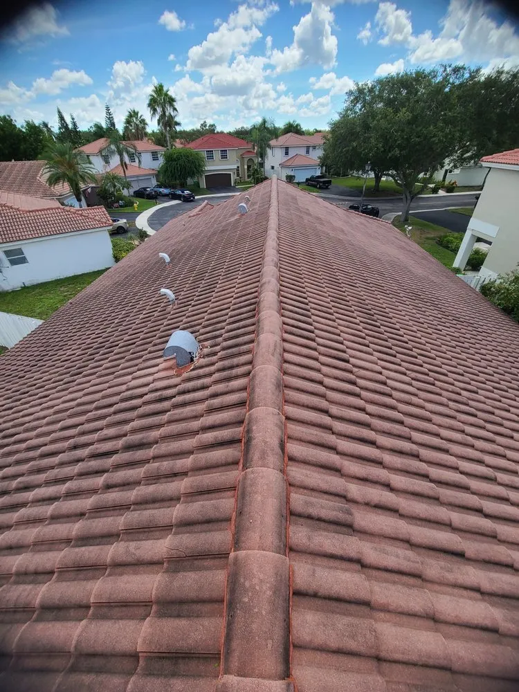 Slide of Nj Pressure Washing and Roof Cleaning