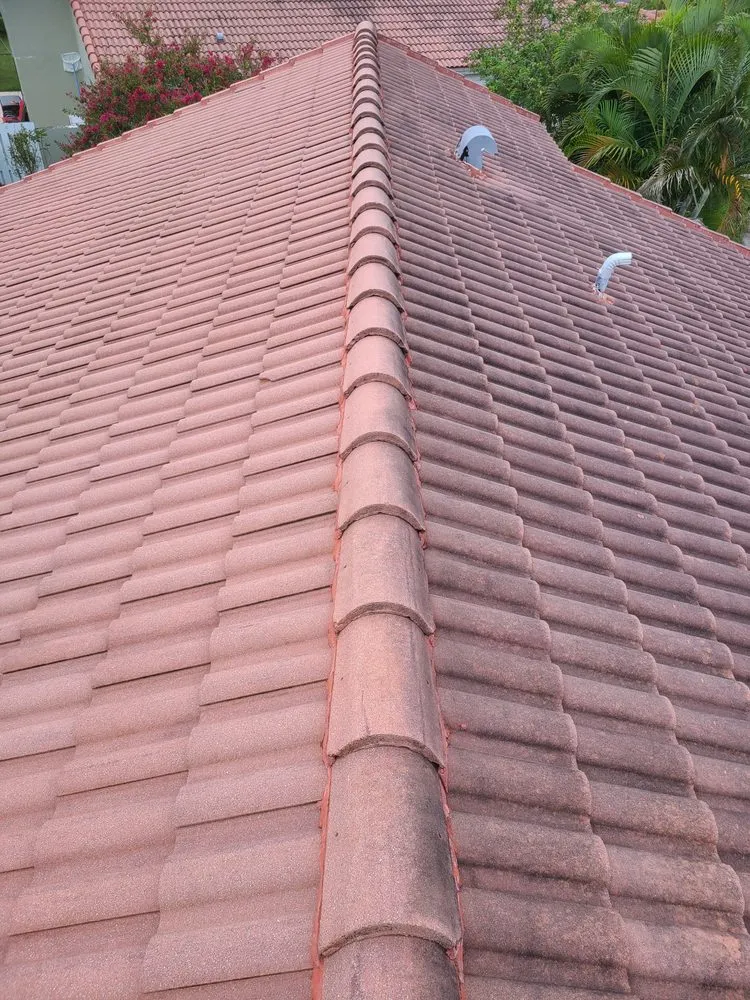 Slide of Nj Pressure Washing and Roof Cleaning