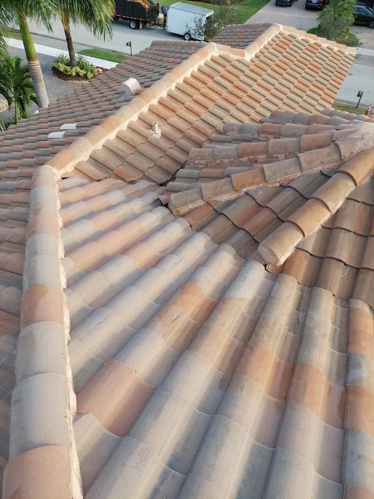 Slide of Nj Pressure Washing and Roof Cleaning