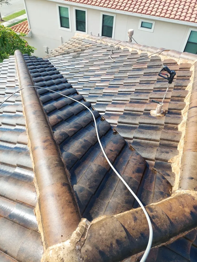 Slide of Nj Pressure Washing and Roof Cleaning