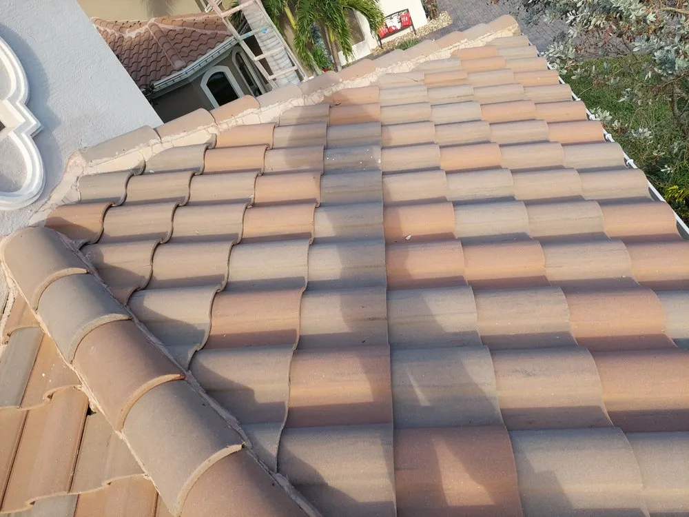 Slide of Nj Pressure Washing and Roof Cleaning