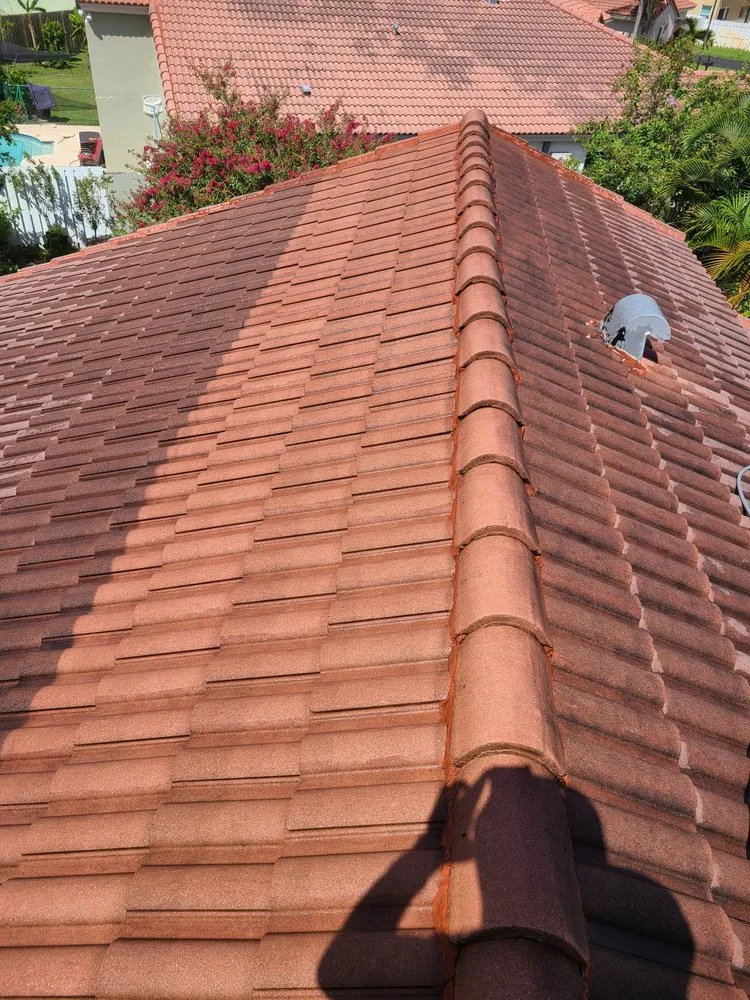 Slide of Nj Pressure Washing and Roof Cleaning