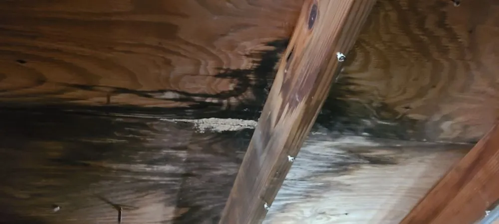 Slide of NJB Roofing