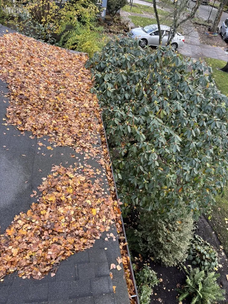 Licensed flat roof repair in St Helens, OR - NJM Roof & Gutter Cleaning
