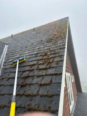 NJM Roof & Gutter Cleaning