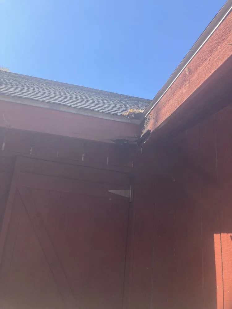 Slide of No Limits Services