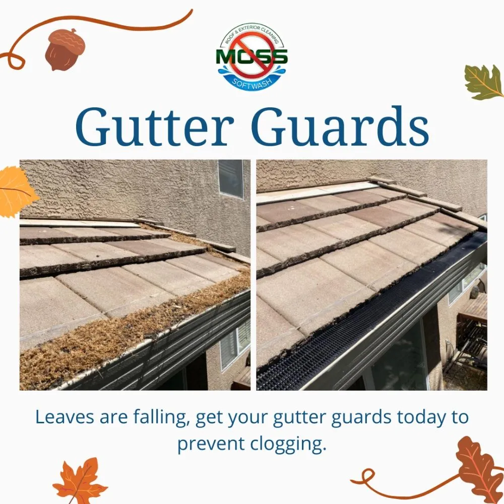 Slide of No Moss SoftWash