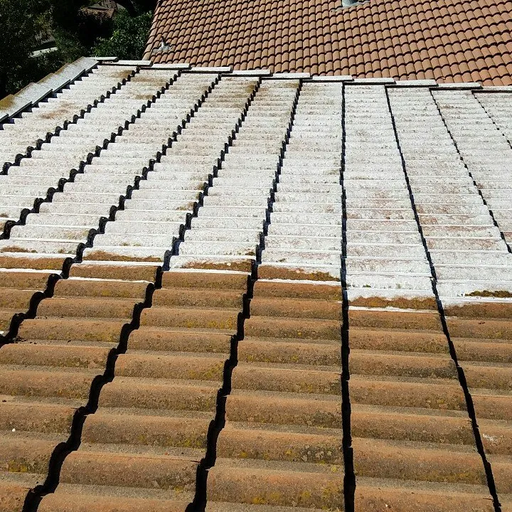 Slide of No Moss SoftWash