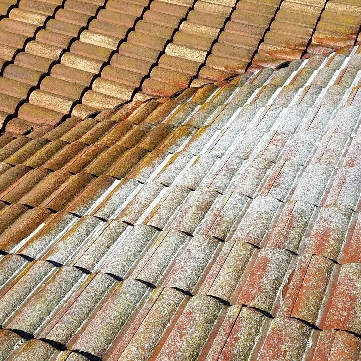 Slide of No Moss SoftWash