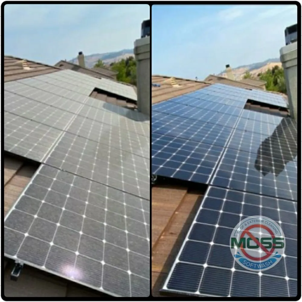 Slide of No Moss SoftWash