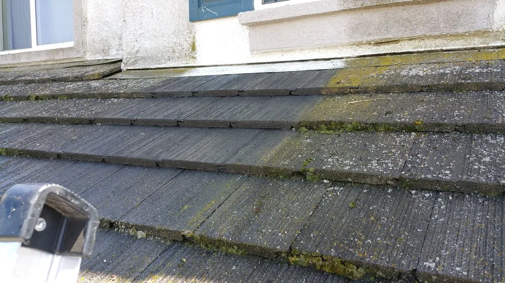 Slide of No Moss SoftWash