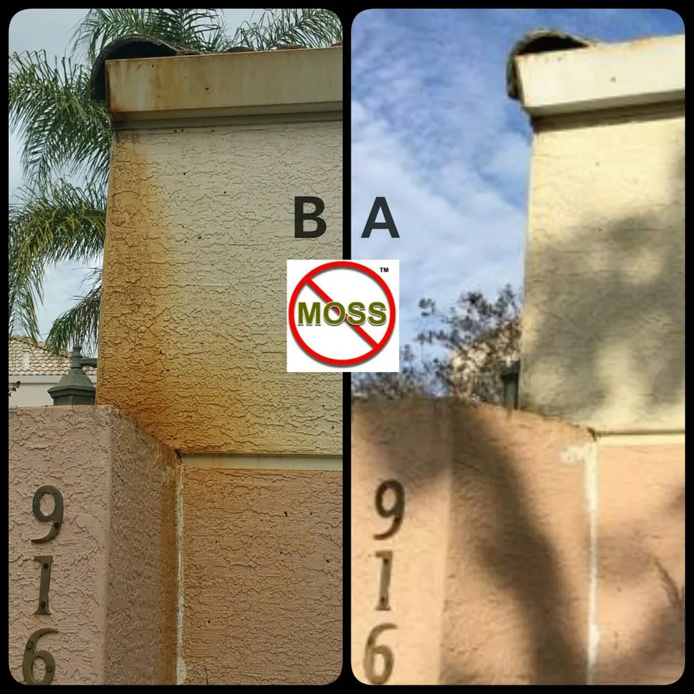 Slide of No Moss SoftWash