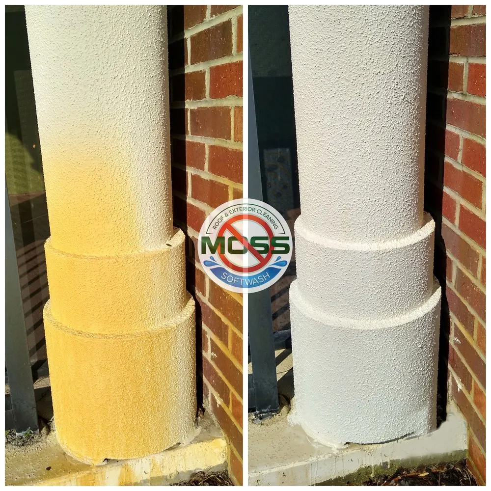 Slide of No Moss SoftWash