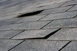 Licensed residential roofing service in CA, CA by No Pressure Pressure Washing & Gutter Cleaning