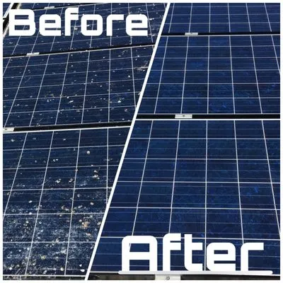 No Pressure Pressure Washing & Gutter Cleaning