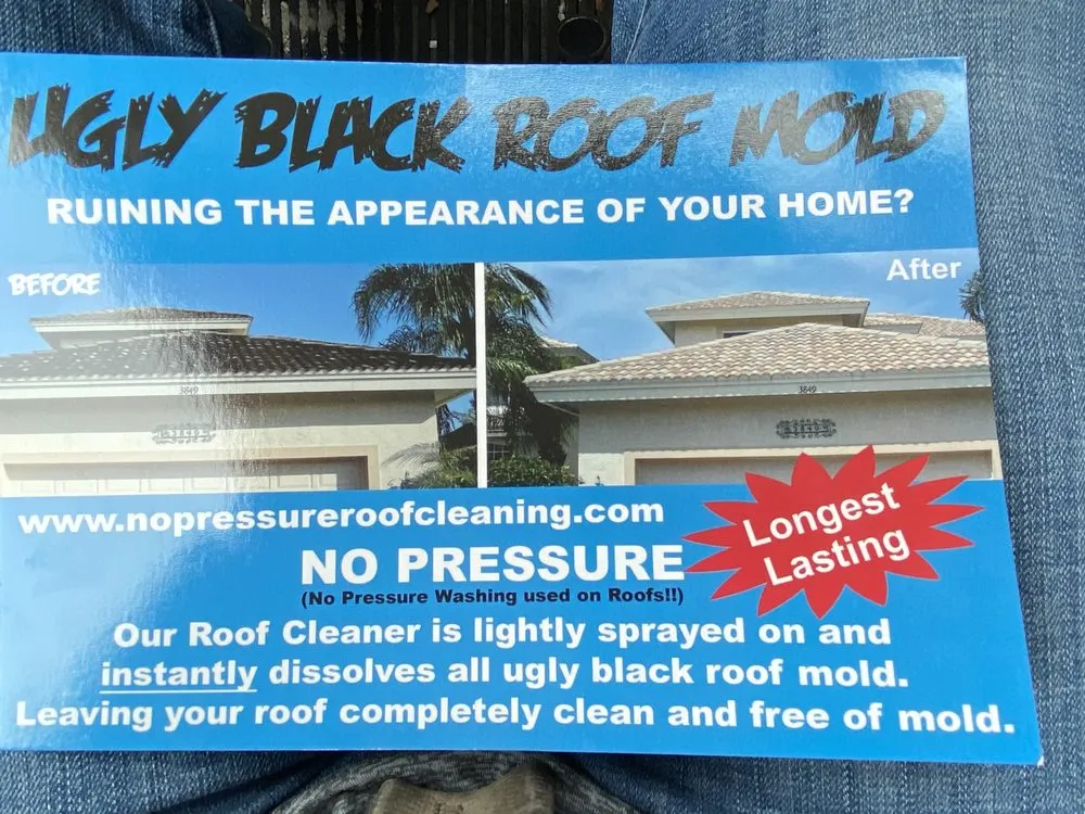 Slide of No Pressure Roof Cleaning