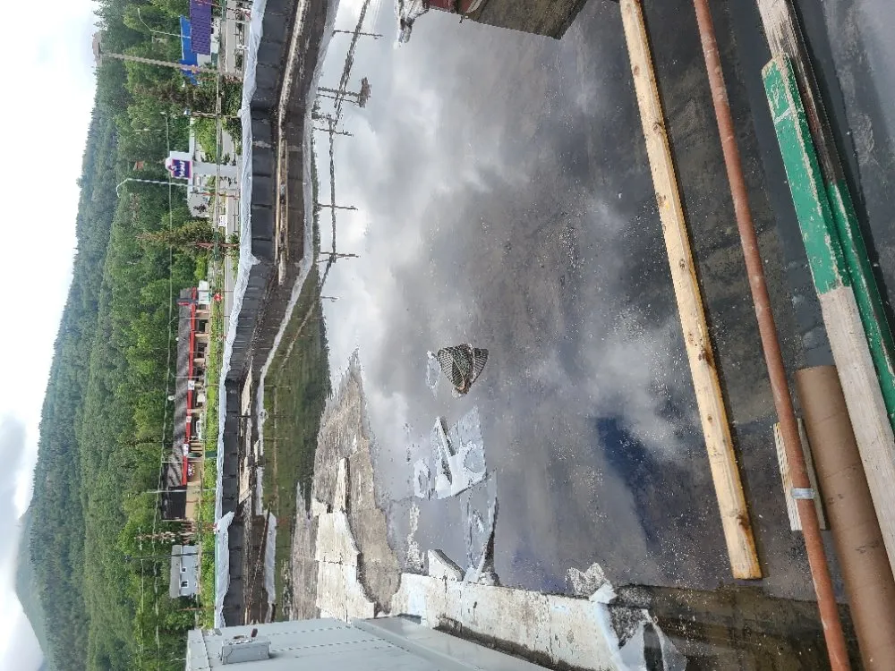 Slide of No Strings Attached Services