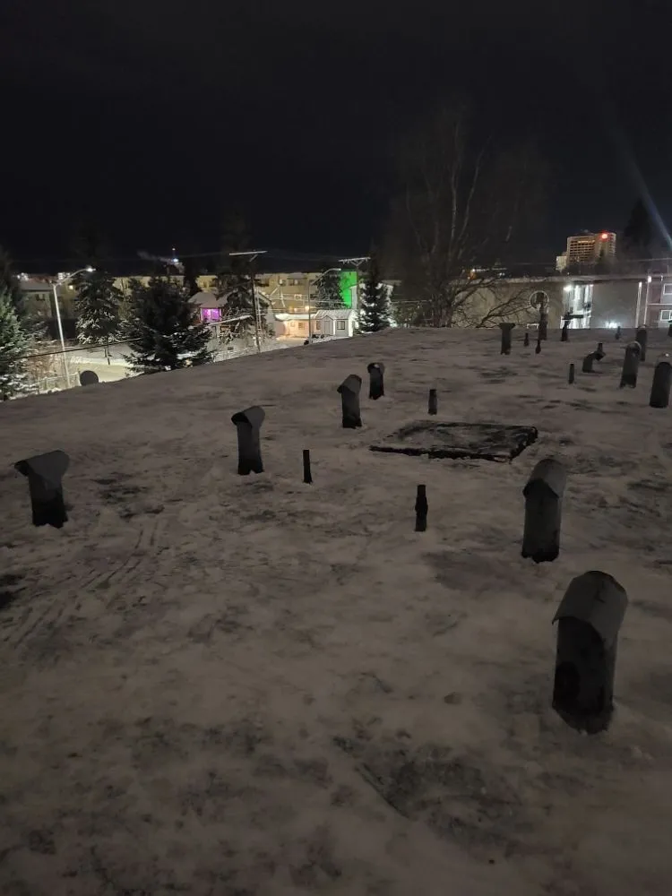 Slide of No Strings Attached Services