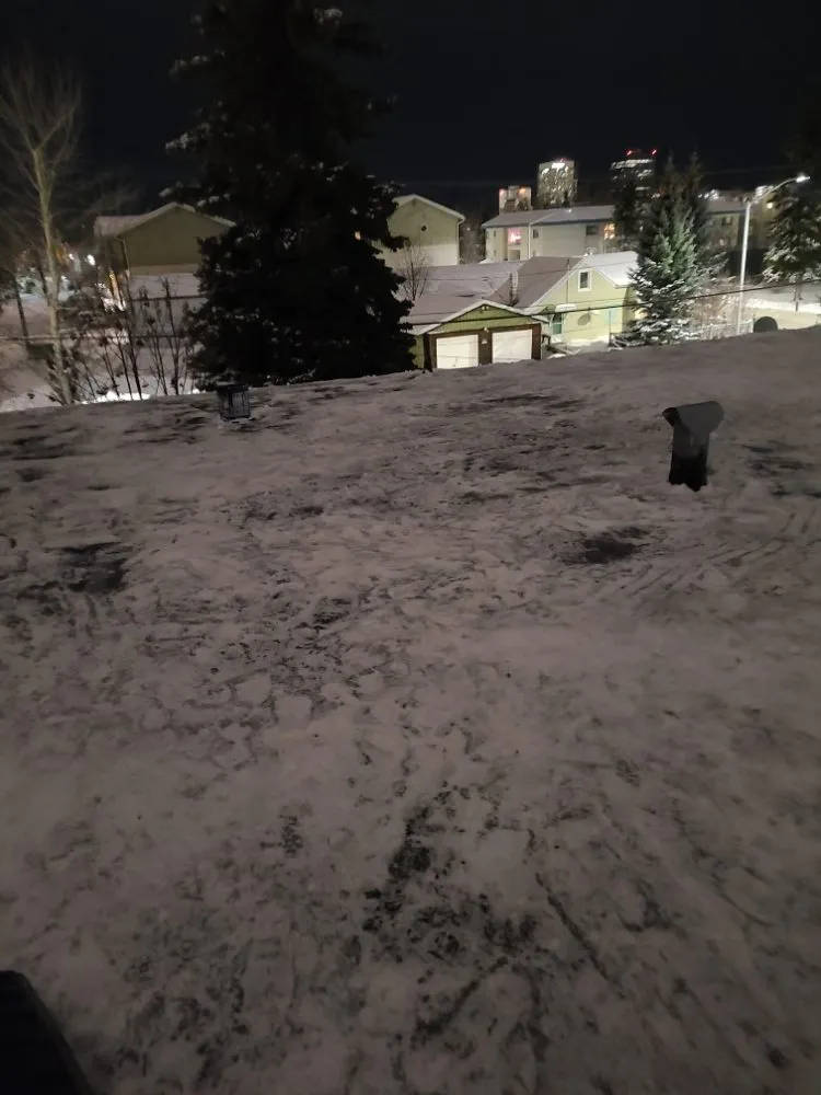 Slide of No Strings Attached Services