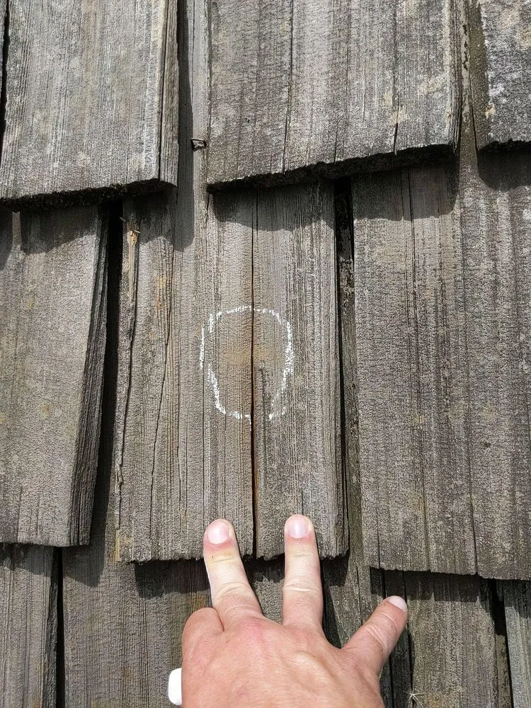 Slide of No Zombies Roofing