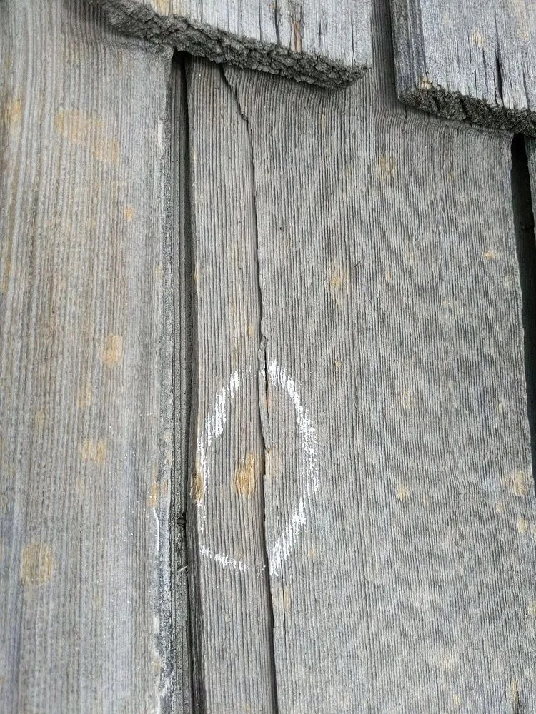 Slide of No Zombies Roofing