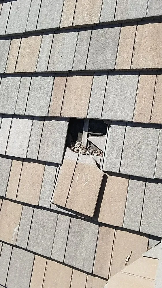 Slide of No Zombies Roofing